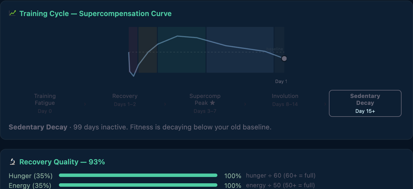 The Training Cycle graph illustrating supercompensation: training fatigue dipping below baseline, then recovery, a supercompensation peak, involution, and sedentary decay.